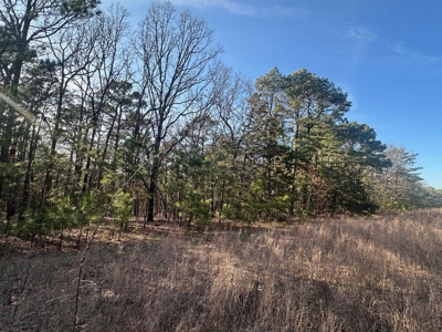 Land for Sale- Near Robbers Cave Park-  Wilburton, Oklahoma - image 8