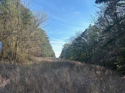 Land for Sale- Near Robbers Cave Park-  Wilburton, Oklahoma - image 3
