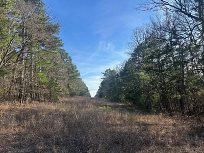 Land for Sale- Near Robbers Cave Park-  Wilburton, Oklahoma - image 5