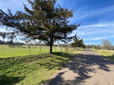 Ranch with Cabin for Sale in Gilmer, TX - image 27