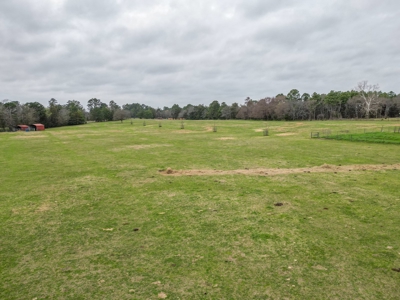 Ranch with Cabin for Sale in Gilmer, TX - image 7