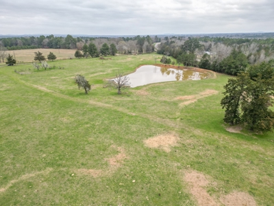Ranch with Cabin for Sale in Gilmer, TX - image 11