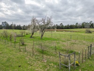 Ranch with Cabin for Sale in Gilmer, TX - image 6