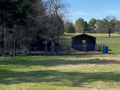 Ranch with Cabin for Sale in Gilmer, TX - image 24