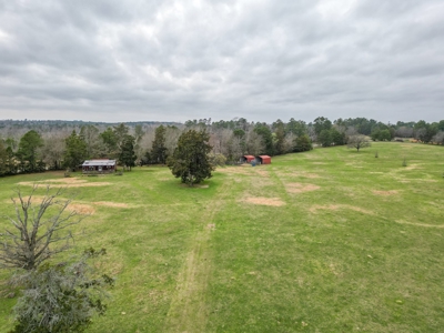 Ranch with Cabin for Sale in Gilmer, TX - image 8