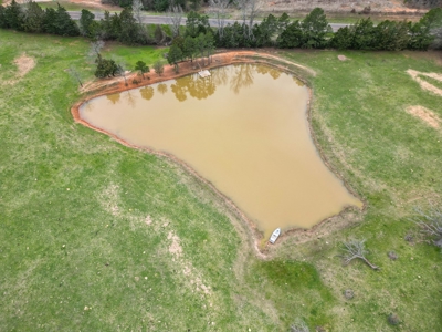 Ranch with Cabin for Sale in Gilmer, TX - image 3