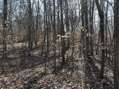 Oak Hill Hideaway On Buggs Island Lake, VA - image 11