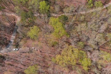 Oak Hill Hideaway On Buggs Island Lake, VA - image 3