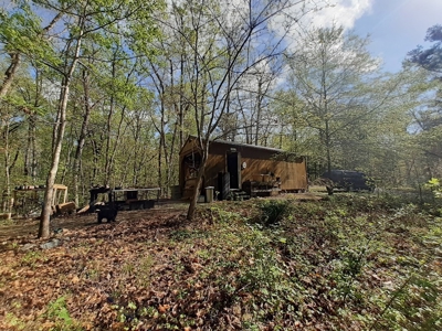 Oak Hill Hideaway On Buggs Island Lake, VA - image 5