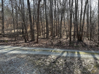 Oak Hill Hideaway On Buggs Island Lake, VA - image 14