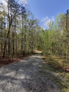 Oak Hill Hideaway On Buggs Island Lake, VA - image 4