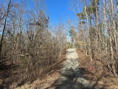 Oak Hill Hideaway On Buggs Island Lake, VA - image 12