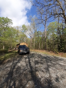 Oak Hill Hideaway On Buggs Island Lake, VA - image 7
