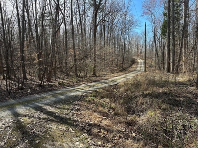 Oak Hill Hideaway On Buggs Island Lake, VA - image 13