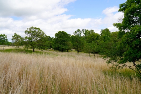 Hobby Farm with Fishing Ponds For Sale Stroud, OK - image 19