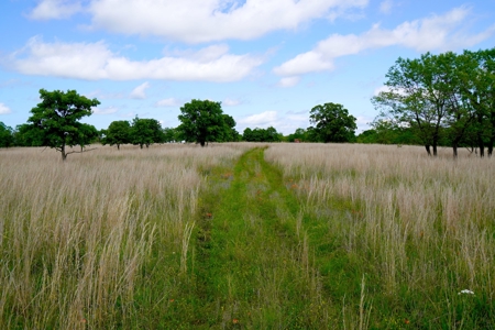 Hobby Farm with Fishing Ponds For Sale Stroud, OK - image 20