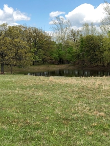 Hobby Farm with Fishing Ponds For Sale Stroud, OK - image 8