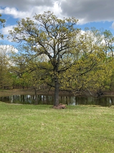 Hobby Farm with Fishing Ponds For Sale Stroud, OK - image 9