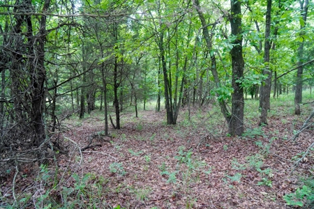 Hobby Farm with Fishing Ponds For Sale Stroud, OK - image 16