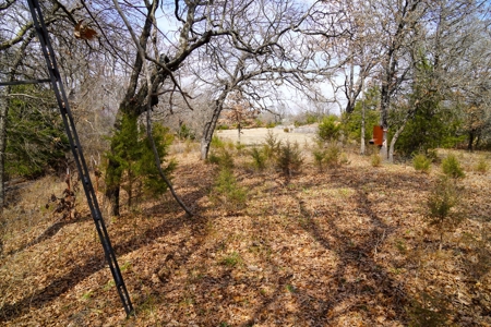 Hobby Farm with Fishing Ponds For Sale Stroud, OK - image 6