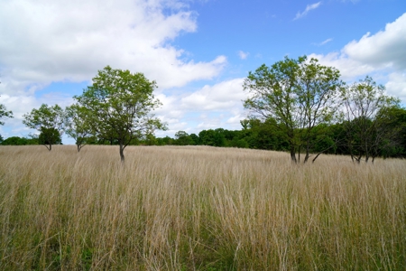 Hobby Farm with Fishing Ponds For Sale Stroud, OK - image 30