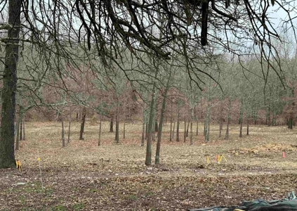 Lawrence County, Arkansas Acreage For Sale - image 6