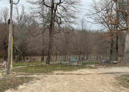 Lawrence County, Arkansas Acreage For Sale - image 4