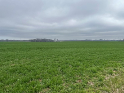 144 acre developmental land for sale near Franklin Ky. - image 1