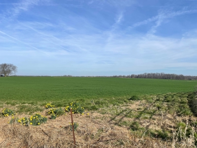 144 acre developmental land for sale near Franklin Ky. - image 2
