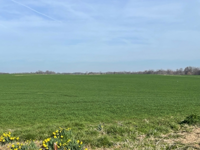 144 acre developmental land for sale near Franklin Ky. - image 3