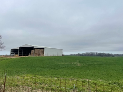 144 acre developmental land for sale near Franklin Ky. - image 7