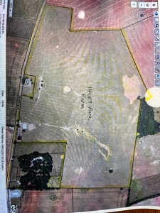 144 acre developmental land for sale near Franklin Ky. - image 12