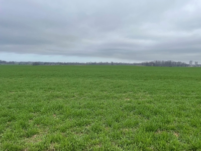 144 acre developmental land for sale near Franklin Ky. - image 5