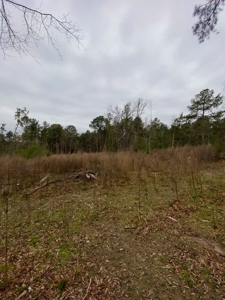 Country Home For Sale in Smithdale, MS - image 25