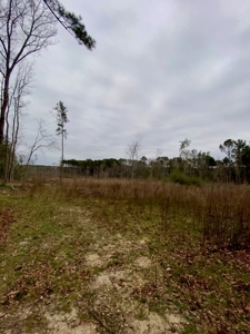 Country Home For Sale in Smithdale, MS - image 26