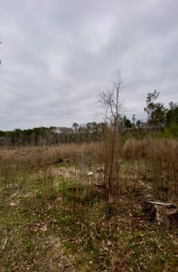 Country Home For Sale in Smithdale, MS - image 27