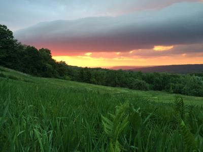 Double Dome Home With Acreage For Sale In Upstate New York - image 15