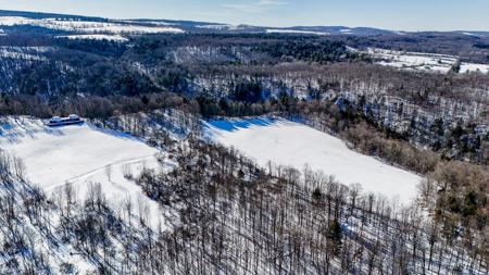 Double Dome Home With Acreage For Sale In Upstate New York - image 12