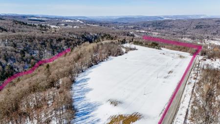 Double Dome Home With Acreage For Sale In Upstate New York - image 10