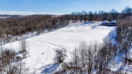 Double Dome Home With Acreage For Sale In Upstate New York - image 6