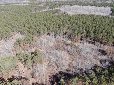 Nestled in Juneau County Wisconsin 200-acre tract of land - image 13