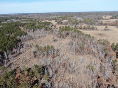 Nestled in Juneau County Wisconsin 200-acre tract of land - image 23
