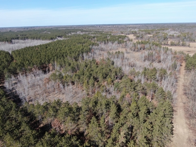 Nestled in Juneau County Wisconsin 200-acre tract of land - image 21