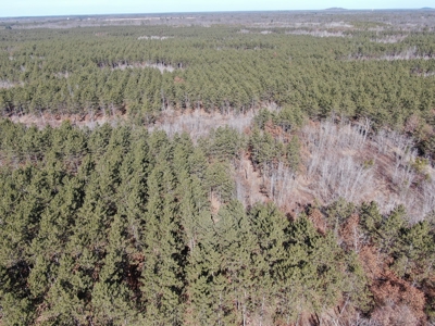 Nestled in Juneau County Wisconsin 200-acre tract of land - image 9