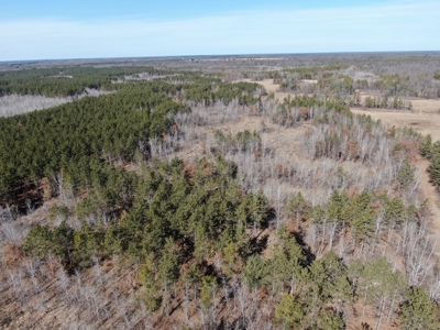 Nestled in Juneau County Wisconsin 200-acre tract of land - image 22