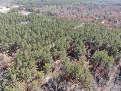Nestled in Juneau County Wisconsin 200-acre tract of land - image 10