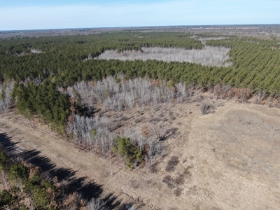 Nestled in Juneau County Wisconsin 200-acre tract of land - image 15