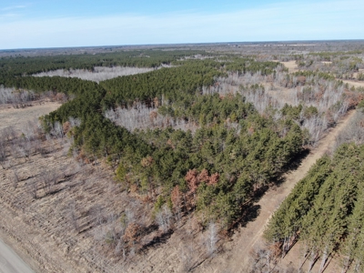 Nestled in Juneau County Wisconsin 200-acre tract of land - image 19