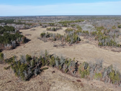 Nestled in Juneau County Wisconsin 200-acre tract of land - image 27