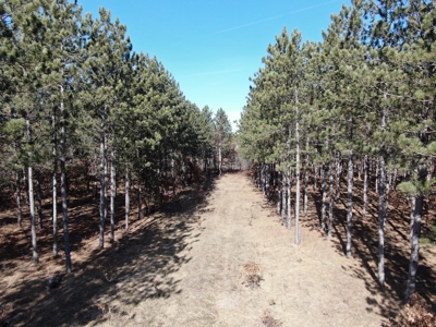 Nestled in Juneau County Wisconsin 200-acre tract of land - image 3